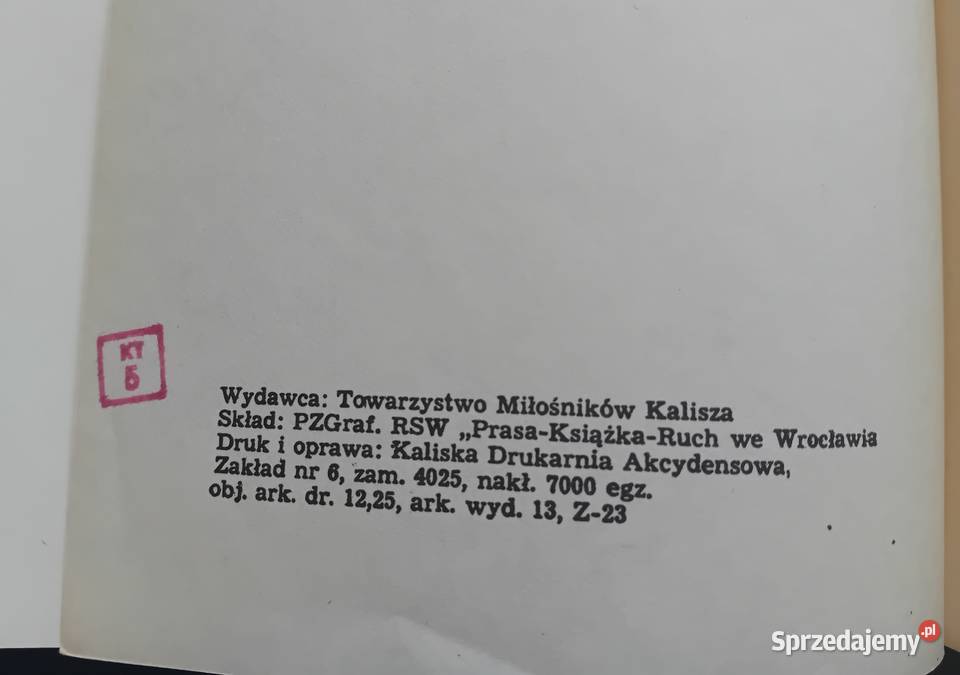 Tadeusz Pniewski Kalisz z oddali Towarzystwo wielkopolskie Koźminek