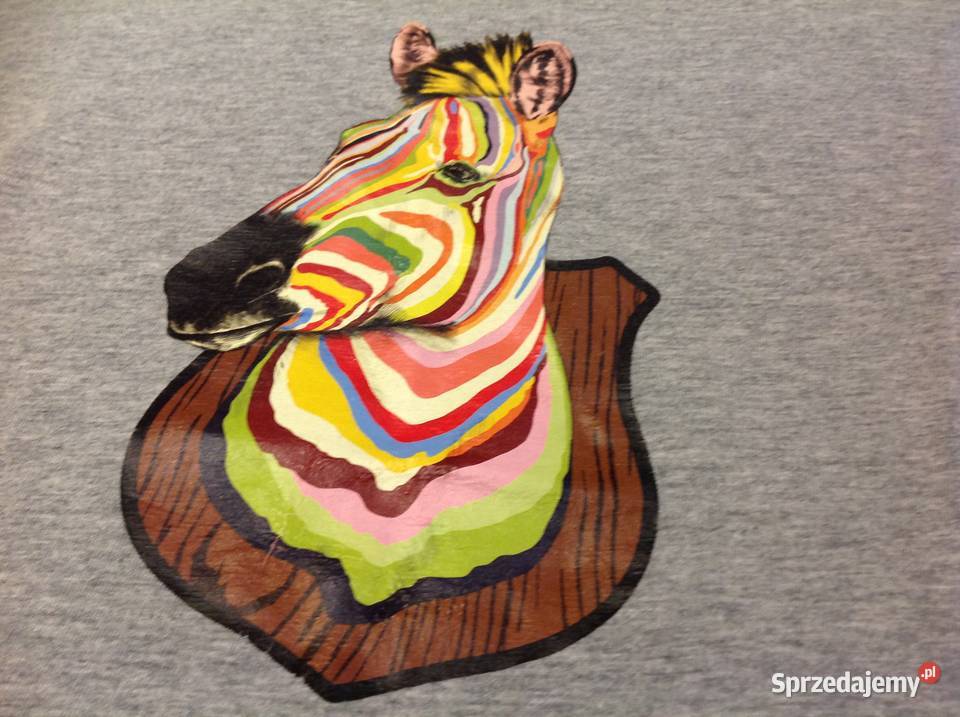 T Shirt Koszulka Męska PAUL SHMITH S Motyw Nowa Sól