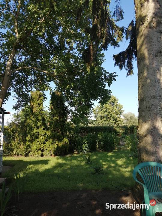 Działka Wisłą w Chełmnie