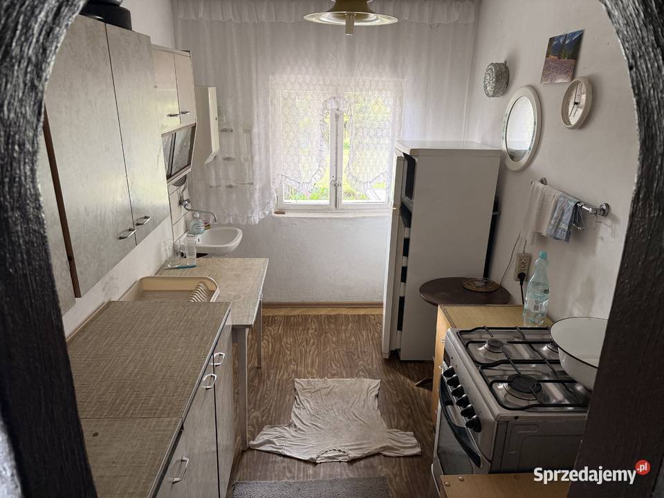 Ogródek dzialkowy ROD Azalia w Piekarach Piekary Śląskie