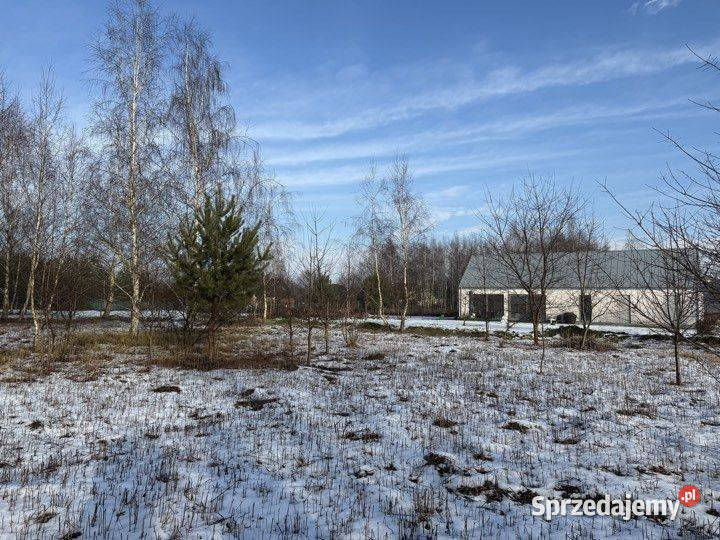 Duża działka na leśnym osiedlu w Miłoszycach sprzedam