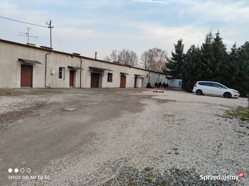 Lokal w Łodzi Chocianowicka 6 skrzyżowaniu z Wynajem Łódź