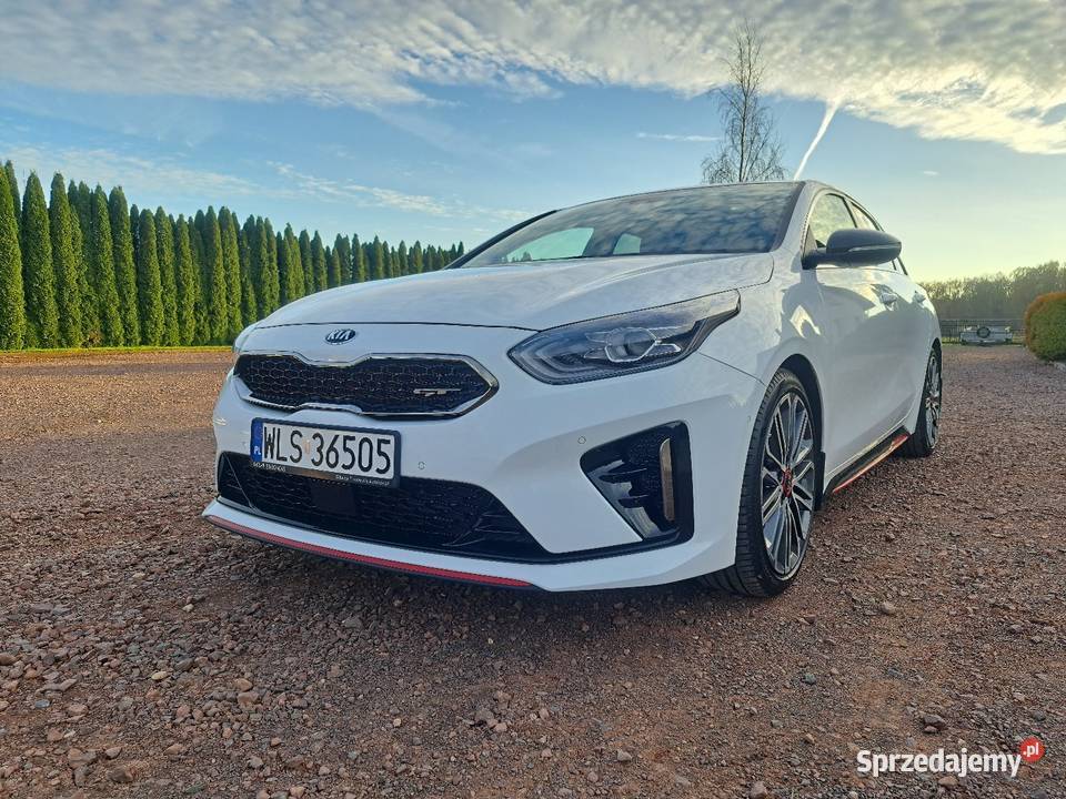 Kia ProCeed 16 TGDI 204 Procee'd Siedlce