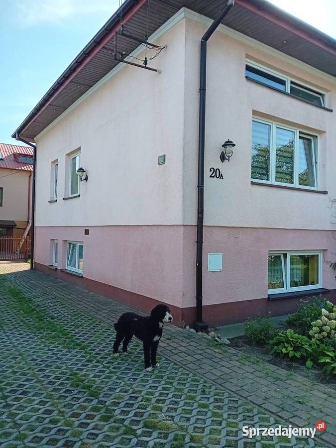 Dom jednorodzinny wolnostojący mazowieckie Żyrardów