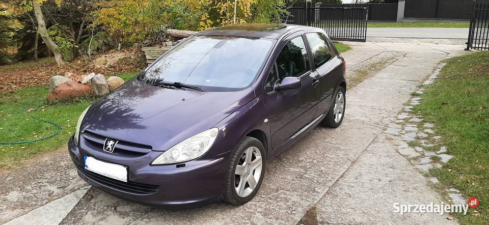 Peugeot 307 Sport S16 20 140 2002 Alu 17 Sprawny garażowany sprzedam