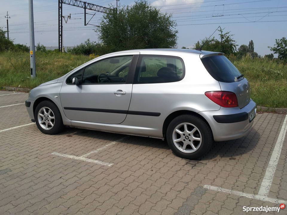 peugeot 307 srebrny zadbany 200cm3 dolnośląskie