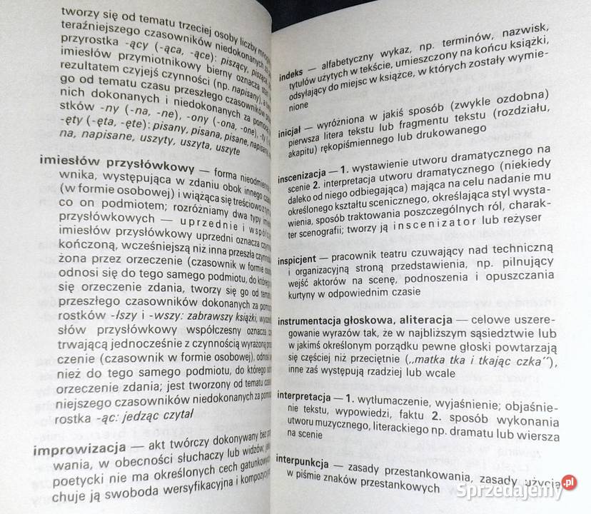 Leksykon ucznia Język polski Ewa Romkowska Chełm