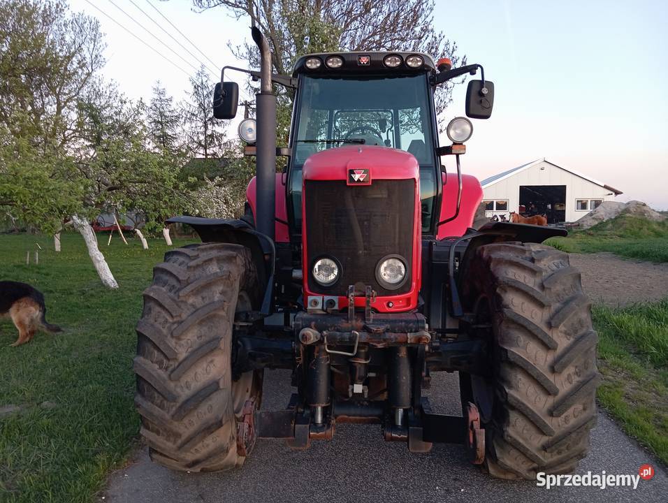 Massey Ferguson 7495 DynaVT kujawsko-pomorskie Lubień Kujawski