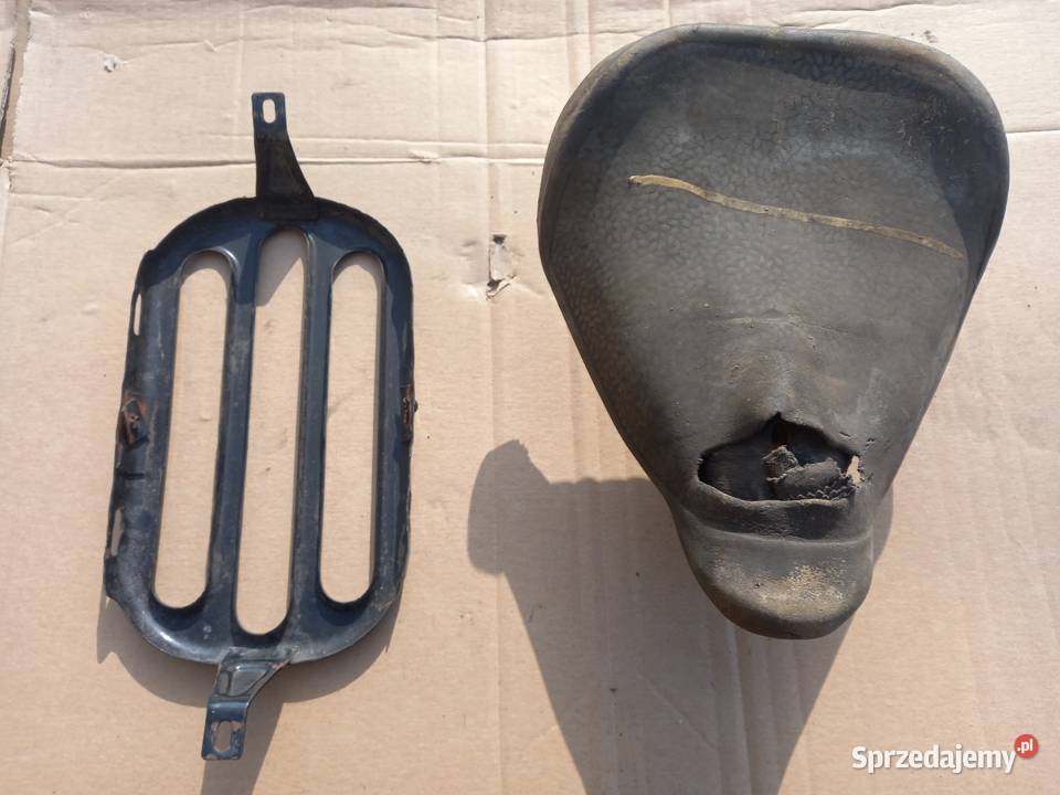 Siedzenie komar sztywniak mazowieckie Sokołów Podlaski