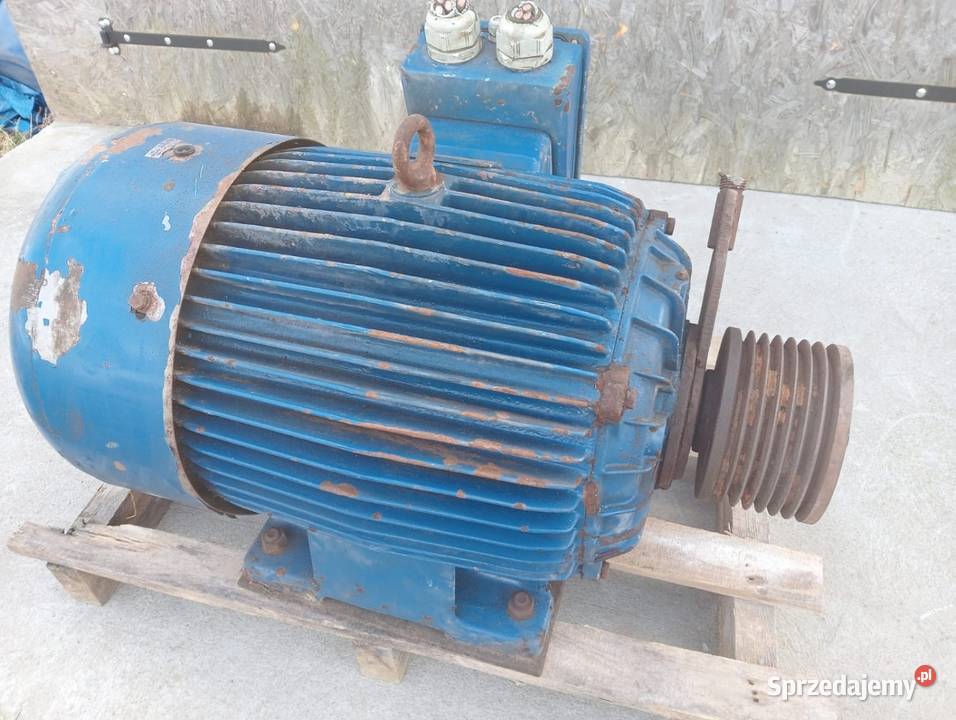 Silnik 55 kw Kochanowo