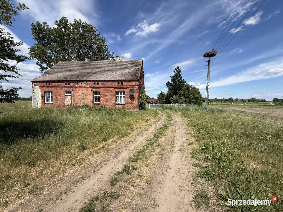 Dom wolnostojący w Lubczu Małym bez pośredników Domy wielkopolskie sprzedam