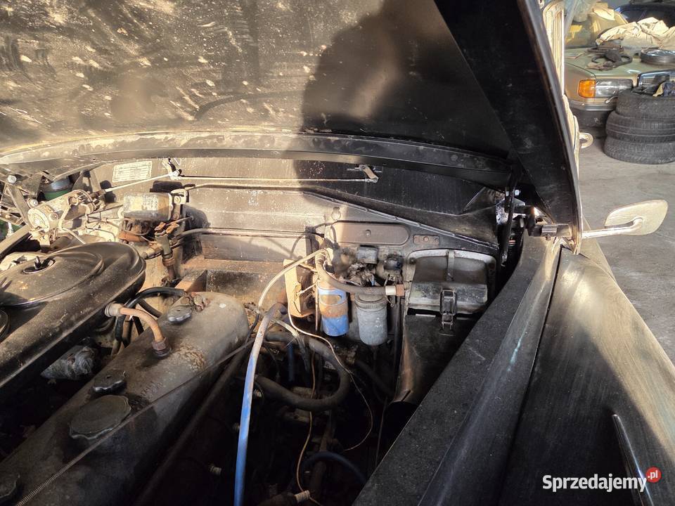 Mercedes Adenauer 300B 115KM Strumień