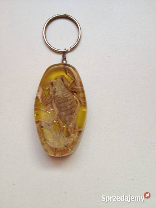 Brelok do kluczy zawieszka SKORPION znak zodiaku kujawsko-pomorskie Toruń