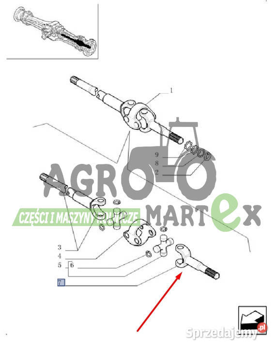 85807999 CA0046324 CAO046324 L99558 PÓŁOŚ KRÓTKA Wichrów
