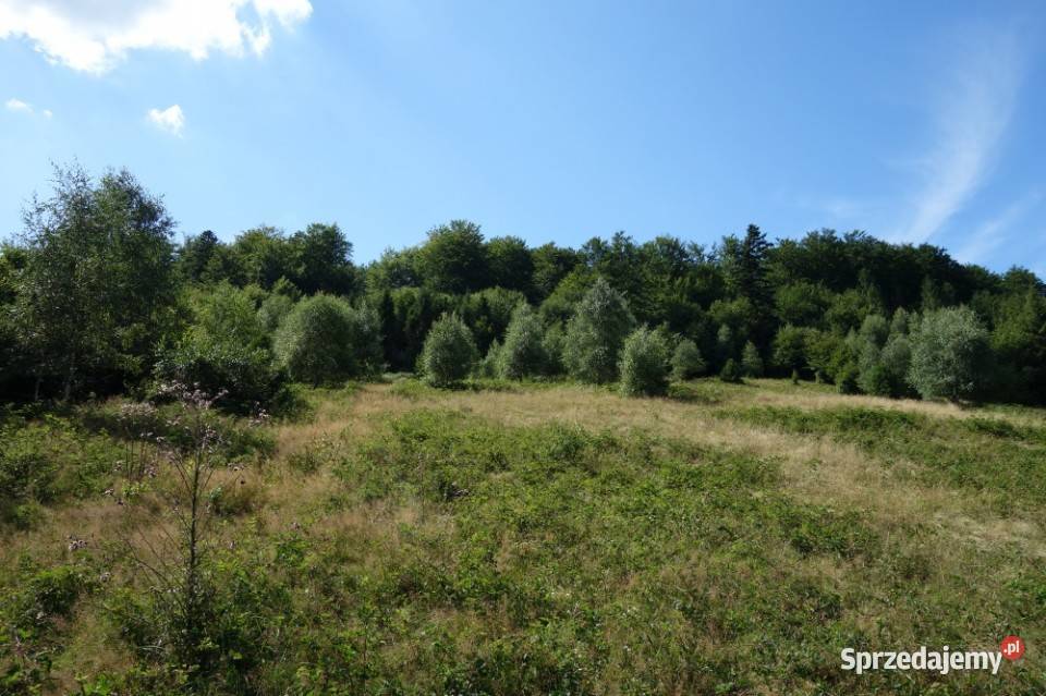 Brenna 253 ha działka inwestycyjna wyciągu 71zł/m2 Kraków