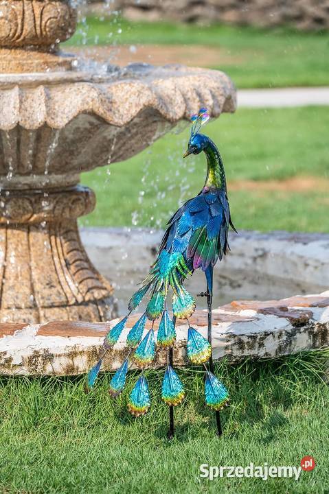 Paw ogrodowy metal 40 kolorowy trwały na warunki Kraków