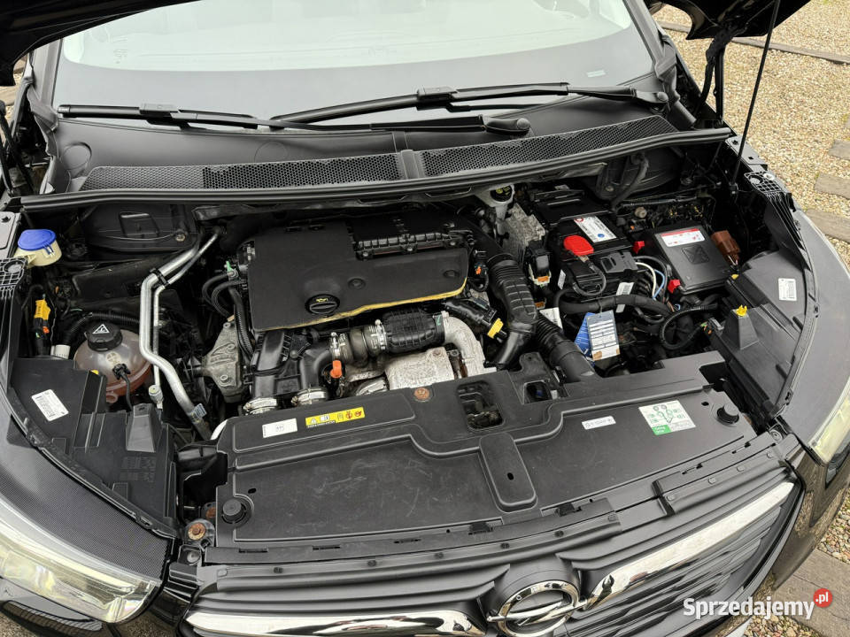 Opel Grandland X automatnavikamery 360nowy 1560cm3 Dąbrowa