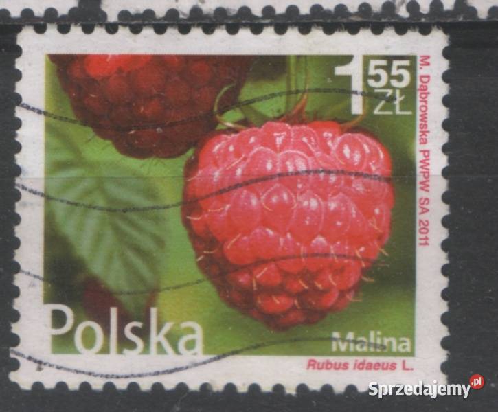 Zn Fi 4361 92 5 6 kas 2011 Gliwice