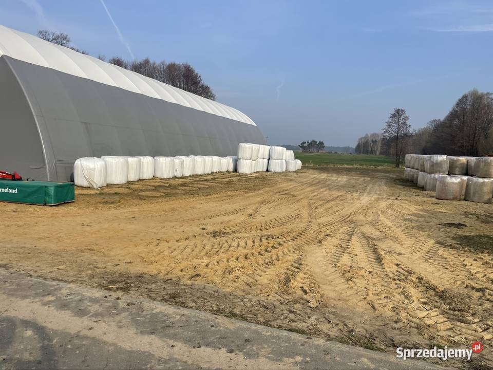 Sianokiszonką Łódź