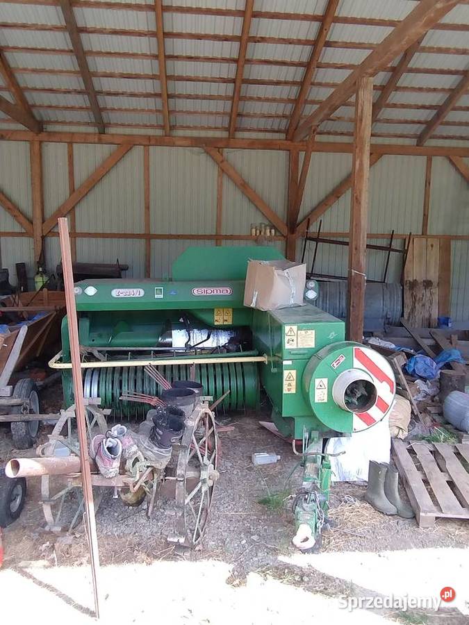 Sipma kostka podkarpackie