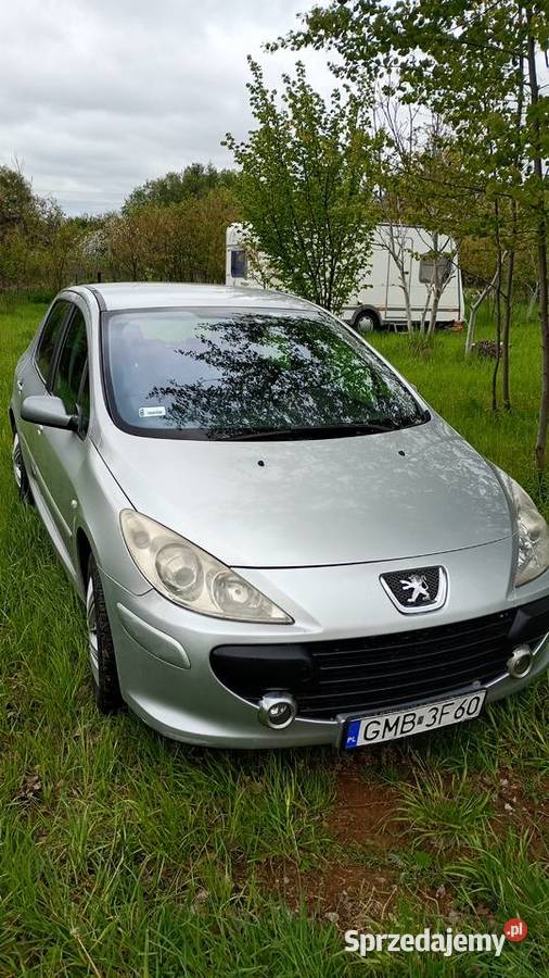 Peugeot 307 benzyna 16 pomorskie Malbork