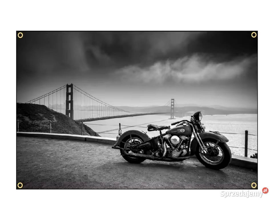 Hot wheels baner plakat materiałowy 90x60 wielkopolskie Gniezno