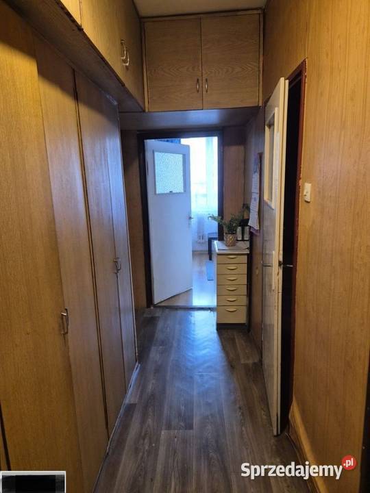 2pok 43met Reja BALKONPIWNICA Wrocław Liczba pokoi 2 sprzedam