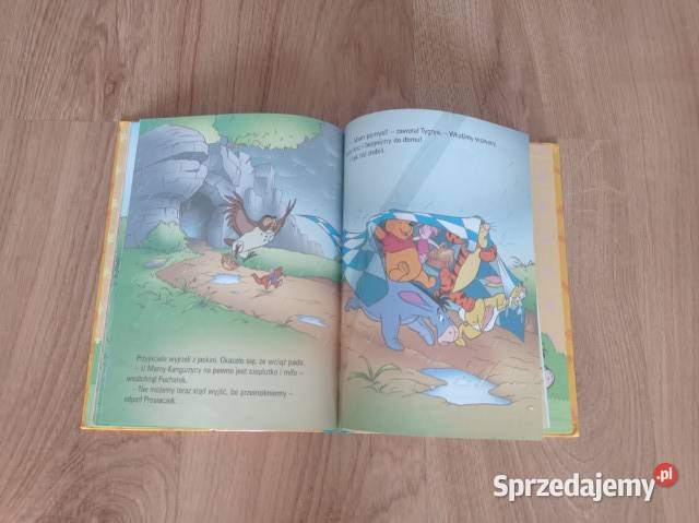 Piknik w Stumilowym Lesie KSIĄŻKA Książki dla dzieci Chorzów sprzedam