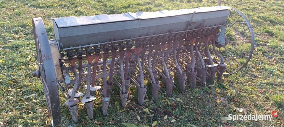 Siewnik nieuszkodzony Boguchwała