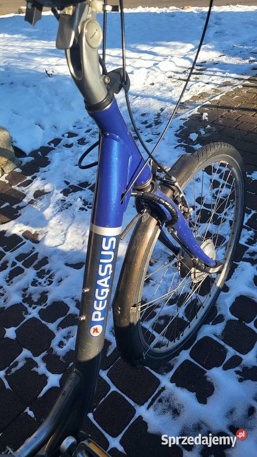 Rower elektryczny Pegazus Lubsko