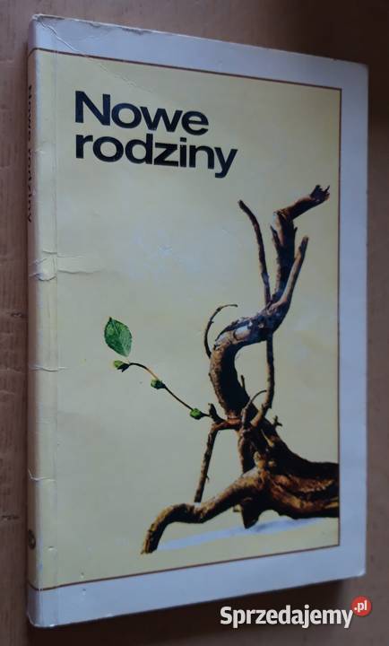 Nowe rodziny Suwałki