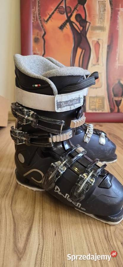 Buty narciarskie Dalbello 255 Pozostałe Żagań
