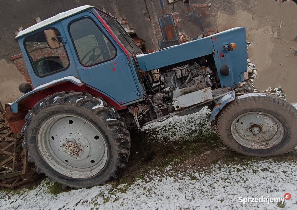 Ciągnik rolniczy Białoruś Jumz D65 dolnośląskie Jawor