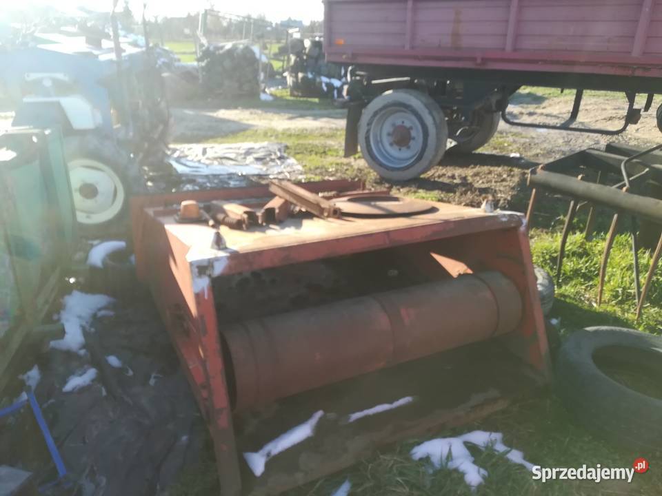 przud bizon Łęczna