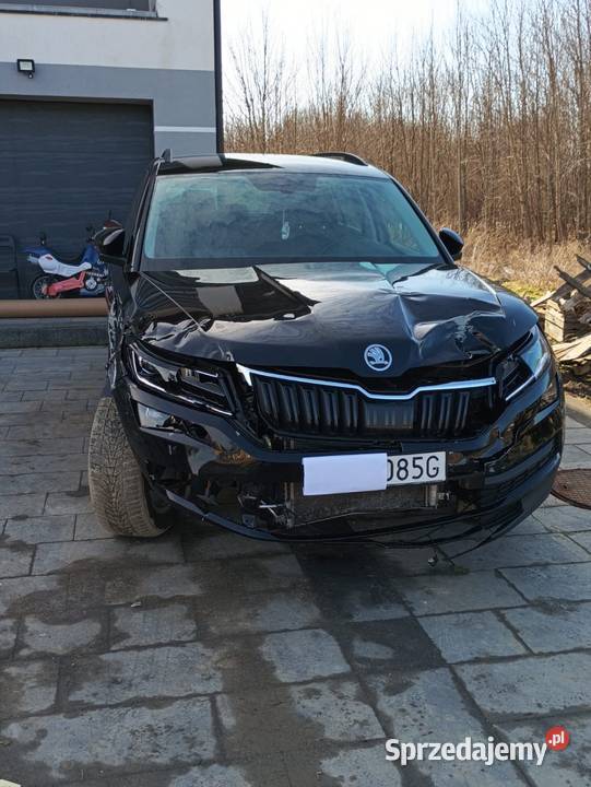 Skoda Kodiaq pomorskie Gołębiewo Wielkie