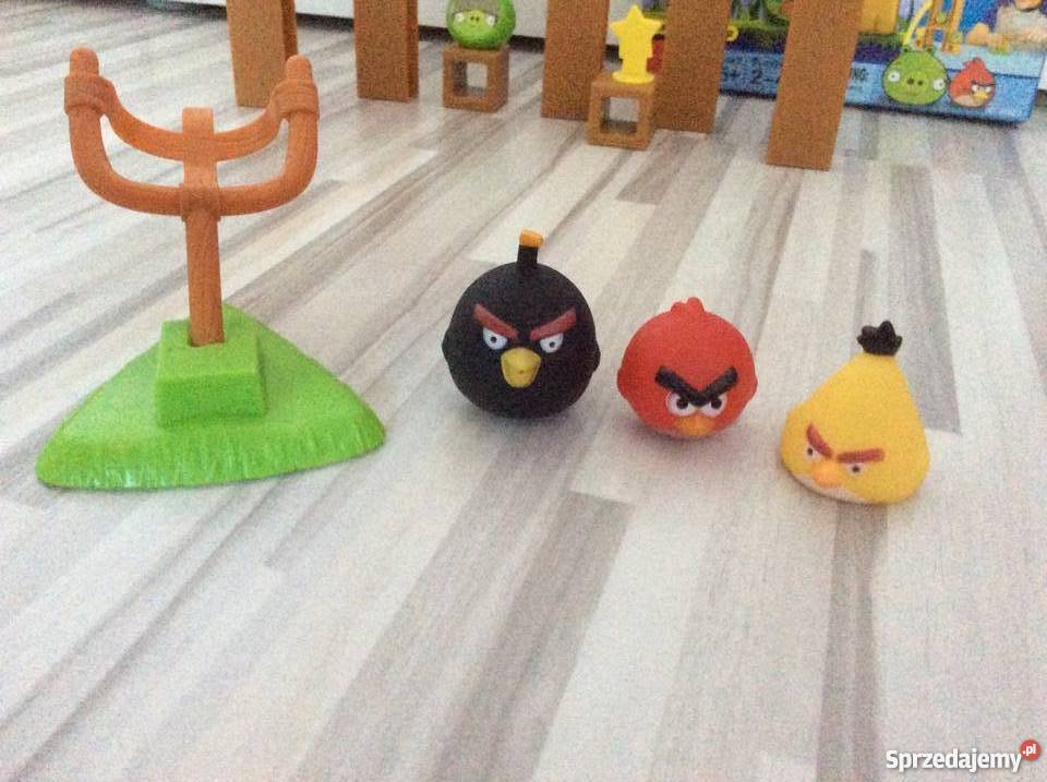 Gra Angry Birds Samodzielna gra Pruszcz Gdański