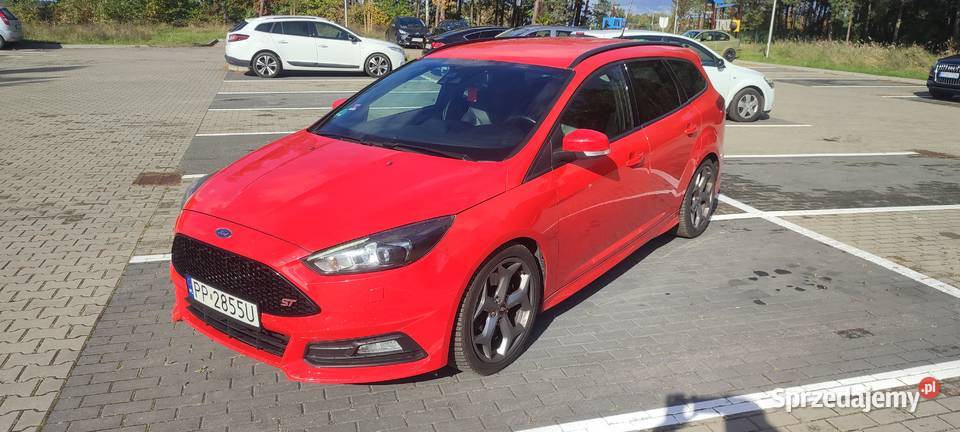 Ford Focus ST śliczny Samochody osobowe wielkopolskie Piła