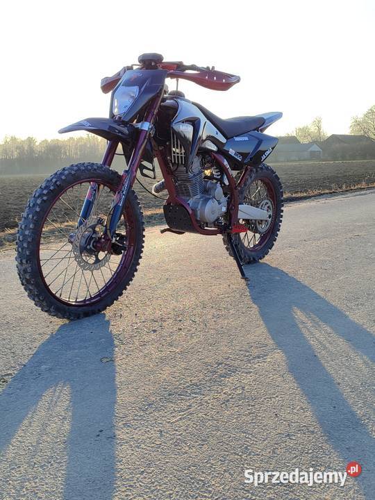 Diabolini 250 Wierciszów