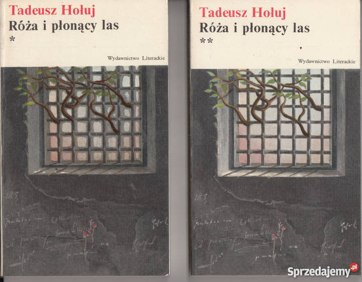 01536 RÓŻA I PŁONĄCY LAS 2 TOMY TADEUSZ HOŁUJ Czyrna