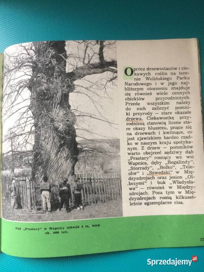 3479 Woliński Park Narodowy Szczecin