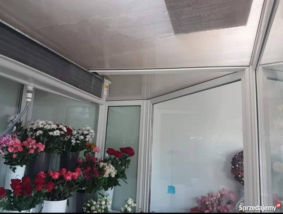 Chłodnia do kwiatów Poznań