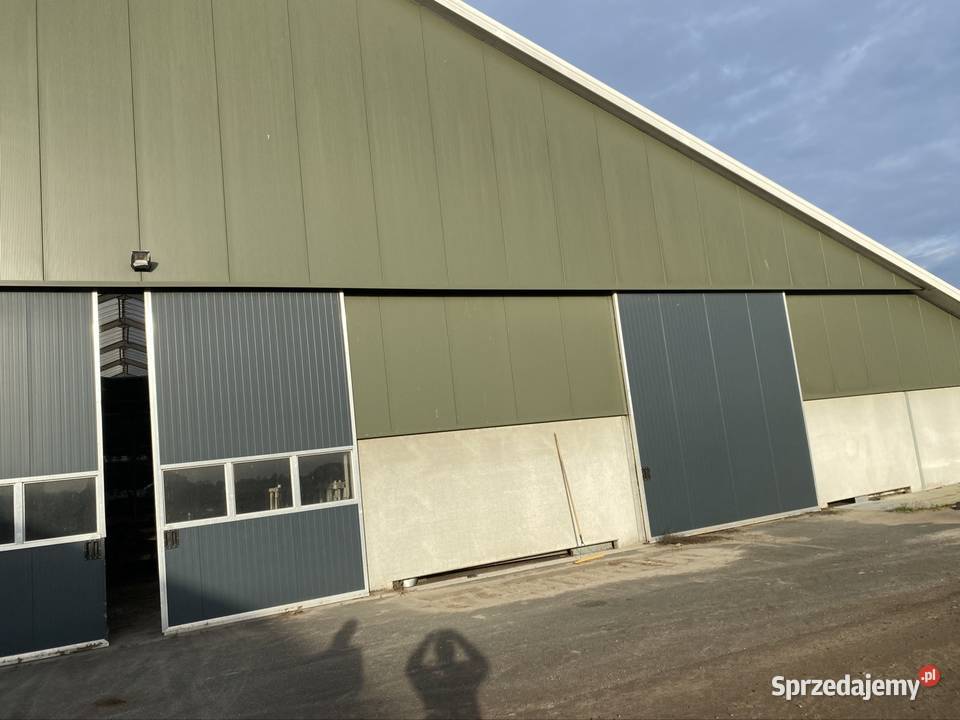 Hala stalowa obora Zambrów