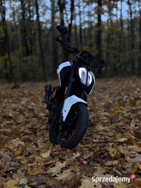 Ktm duke 125 2017 KTM Lubartów