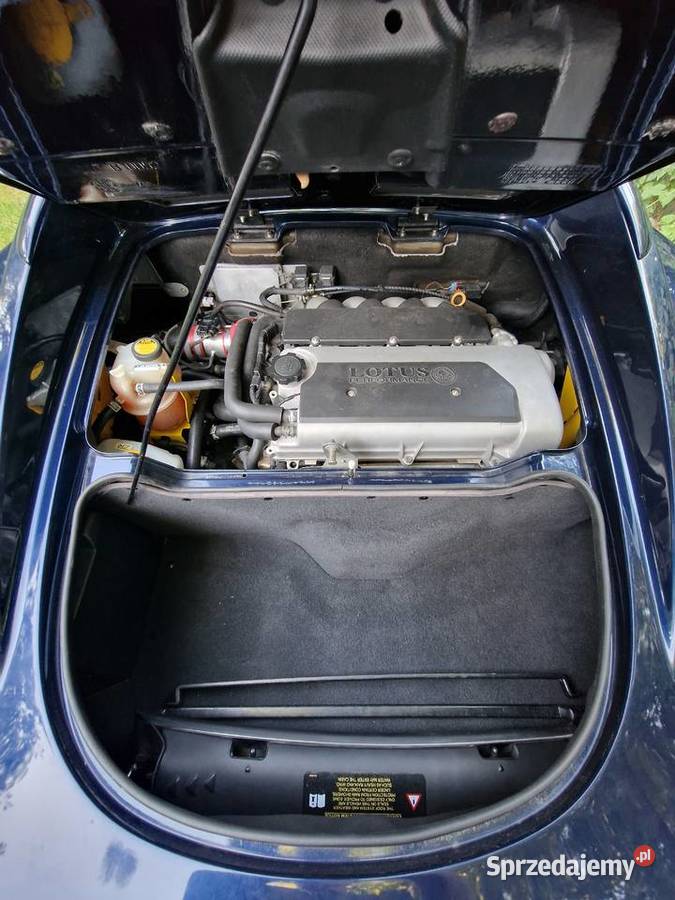 Lotus Elise R sprzedam