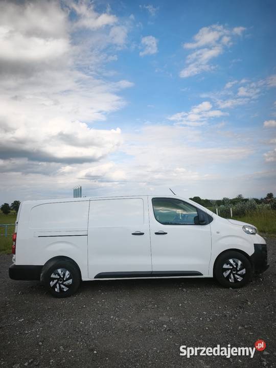 Peugeot Expert long L2H1 20Hdi 150 klima zamiana Rok produkcji 2019 Ząbkowice Śląskie