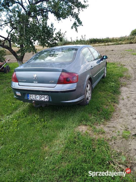 Peugeot 407 20 Hdi łódzkie Sługi sprzedam