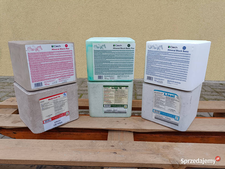 Lizawka solna Ciech Mineral Block Basic Plus Wysokie Mazowieckie