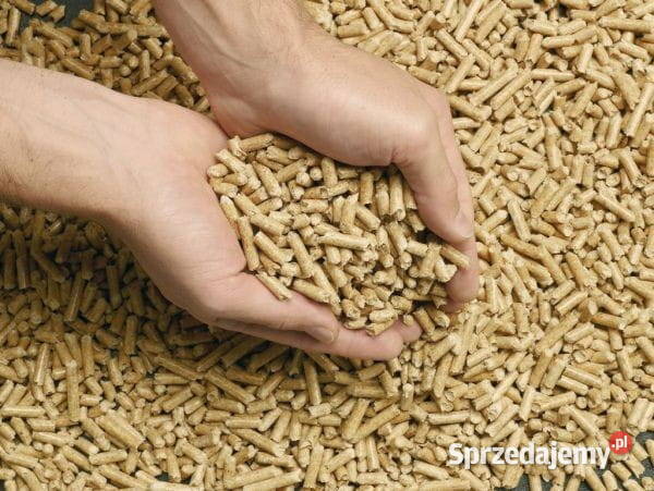 Pellet drzewny Sylva Gdańsk sprzedam