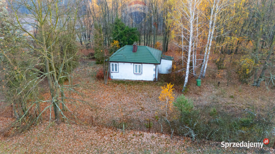 4 hektary wolności pod Warszawą Ostrowik