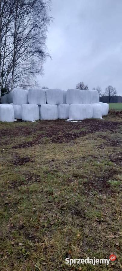 Sianokiszonkę 2022 sprzedam Ozimek